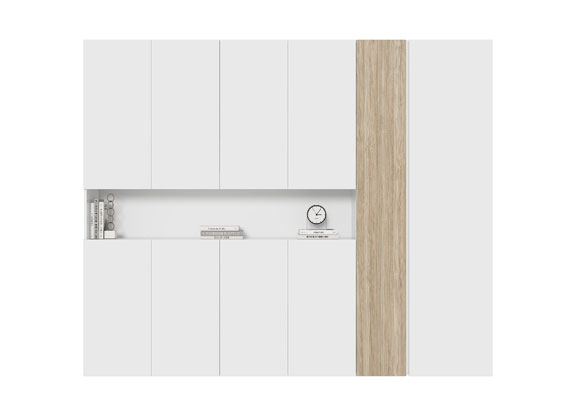 板式文件柜-OLM339